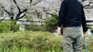 神戸市｜外出はリハビリになる｜高齢者の生活機能維持
