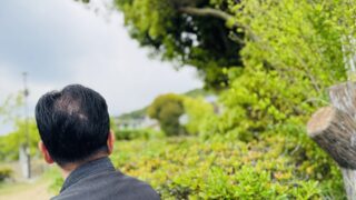 神戸市で一人暮らしの高齢者が散歩を続ける大切さ｜外出支援・付き添いサービス